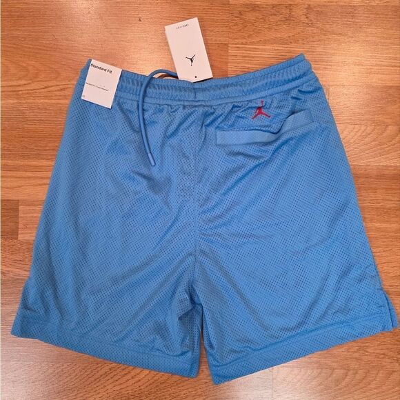 Air Jordan UNC Artist Series by Darien Birks 7" Mesh Shorts Men's S HF5474-462 - Picture 6 of 10